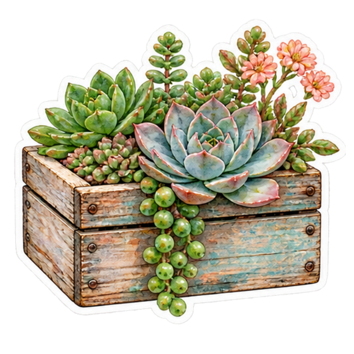 6 Watercolor Succulent Stickers (Digital Download)