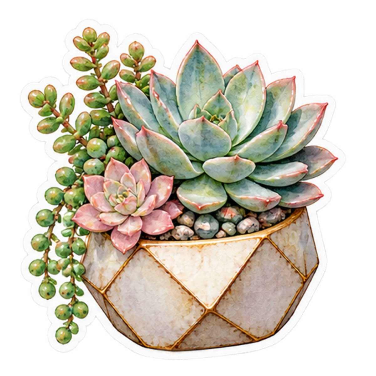 6 Watercolor Succulent Stickers (Digital Download)